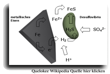 C:\Users\Bertram\Desktop\Tierarzt Mnster - Dr.
                    Heiko Delorme - Homopathie bei Tieren! 0251 -
                    797877_files\anaerobic.gif